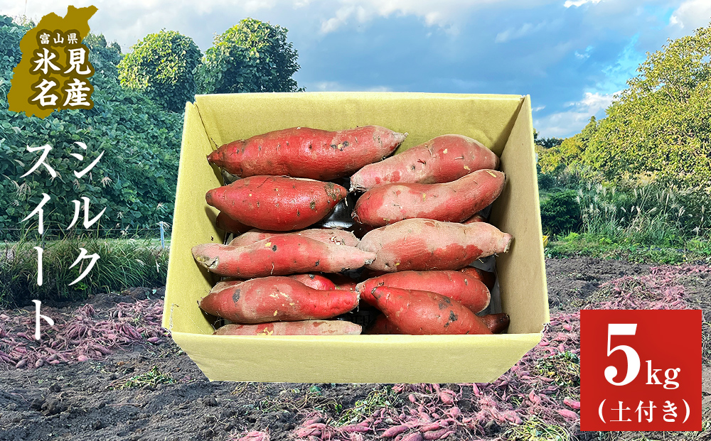 【先行予約】＜シルクスイート＞富山県産 さつまいも 5kg