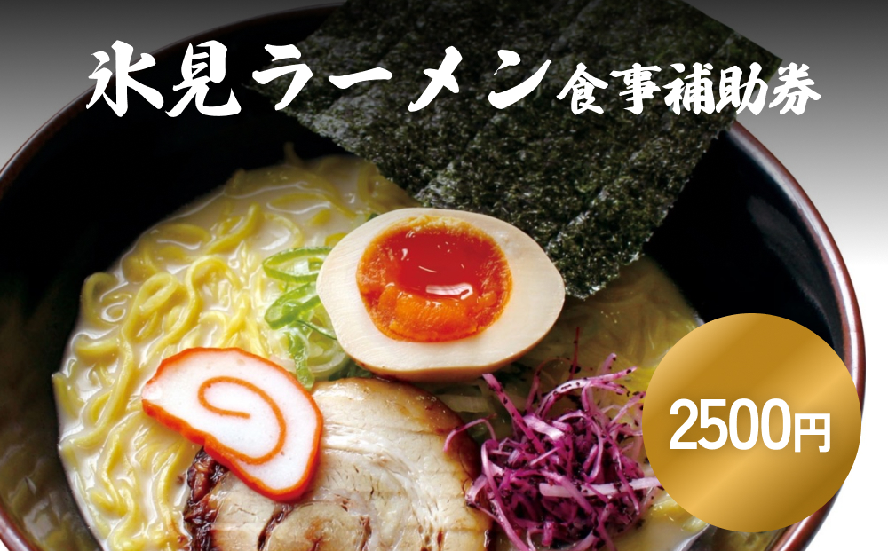 氷見ラーメン 氷見本店 食事補助券 2,500円分 富山県 氷見市