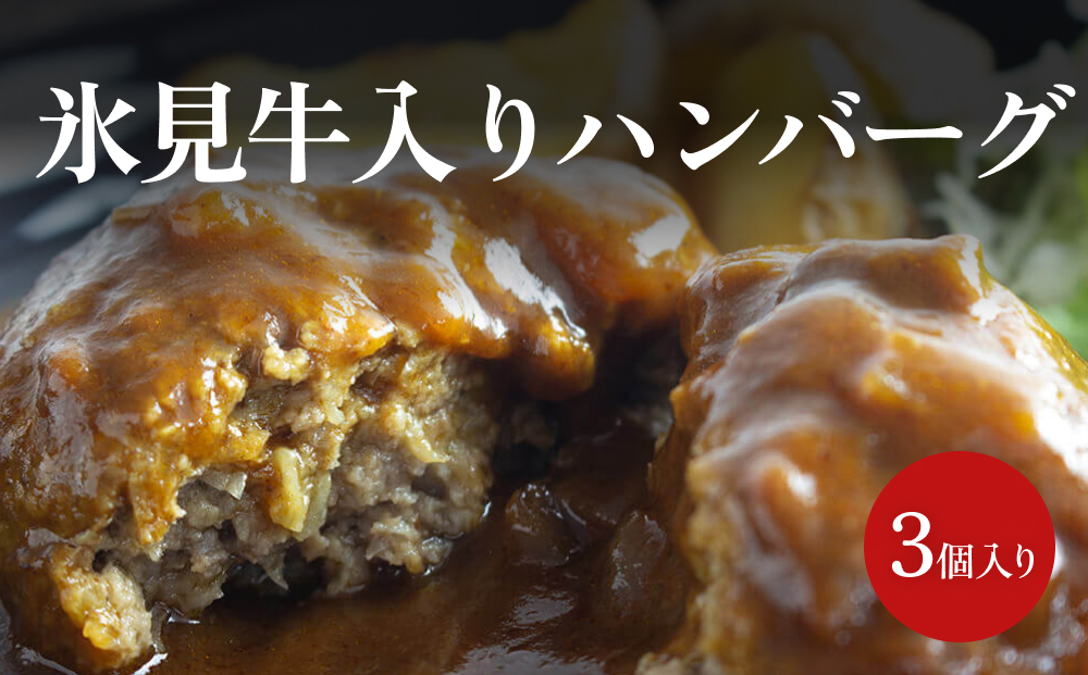氷見牛入りハンバーグ（3個入り）<冷凍>  富山県 氷見市 ハ