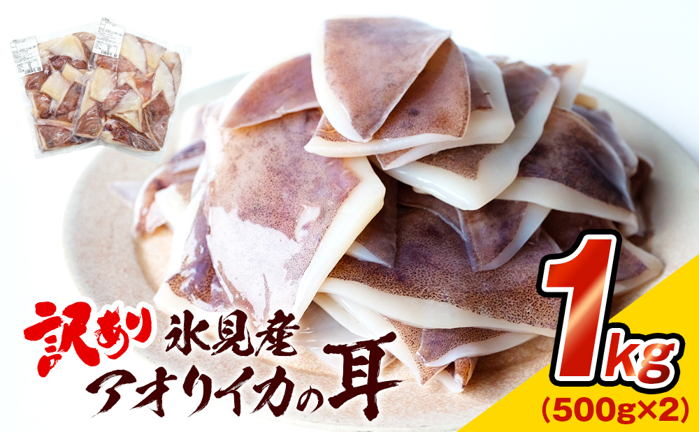 【訳あり】 氷見産 アオリイカの耳 1kg 〈冷凍〉