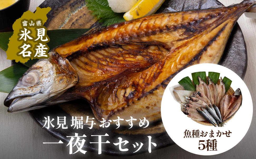 氷見 堀与 おすすめ一夜干5種セット