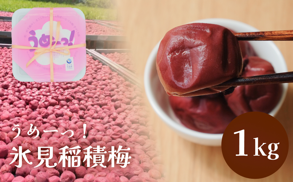 うめーっ！氷見稲積梅　梅干し1kg 富山県 氷見市 梅干 1キロ