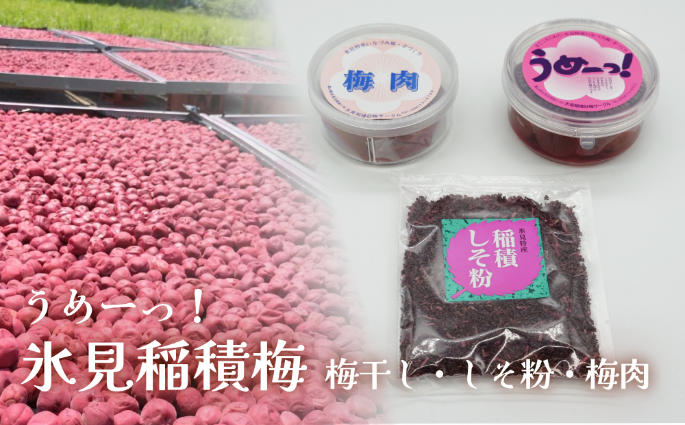 うめーっ！氷見稲積梅 梅干し・しそ粉・梅肉セット 富山県