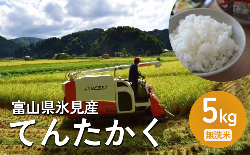 令和6年産 富山県氷見産 てんたかく無洗米 5kg 富山県 氷見市 米 てんたかく