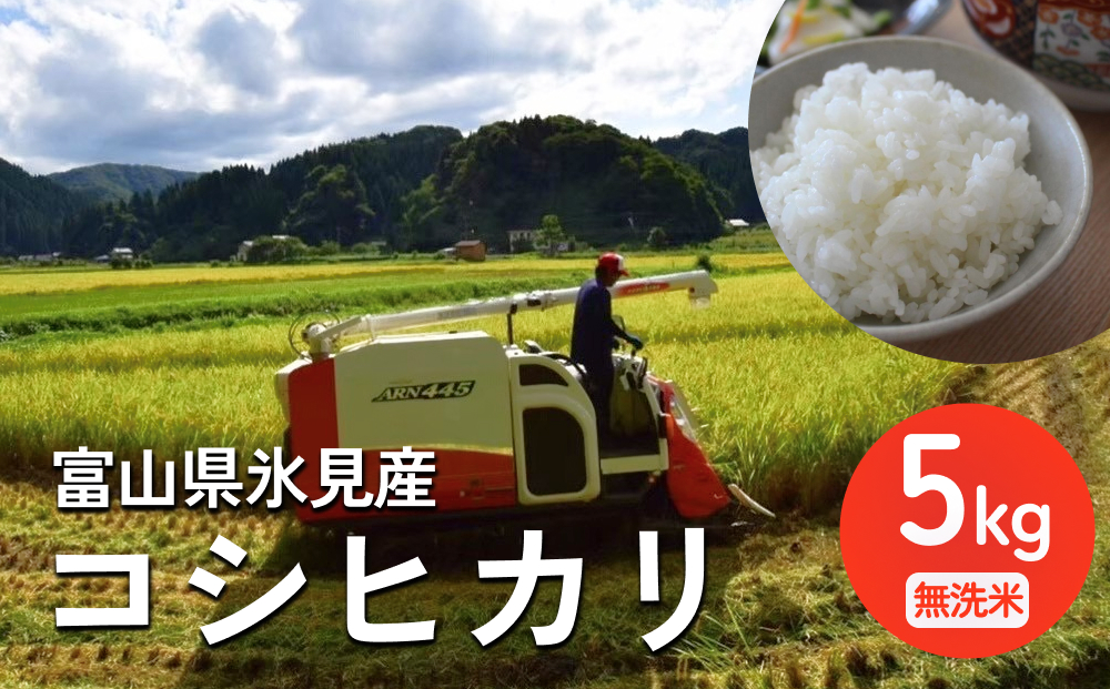 令和7年産 富山県氷見産 コシヒカリ 無洗米 5kg ＜2025年10月
