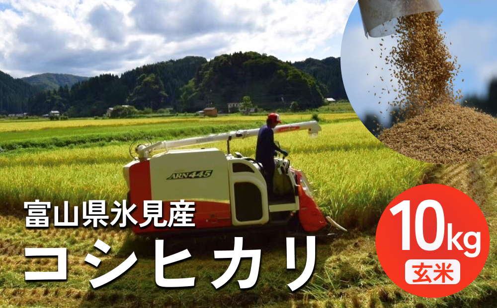 令和7年産 富山県氷見産 コシヒカリ 玄米 10kg ＜2025年10月中