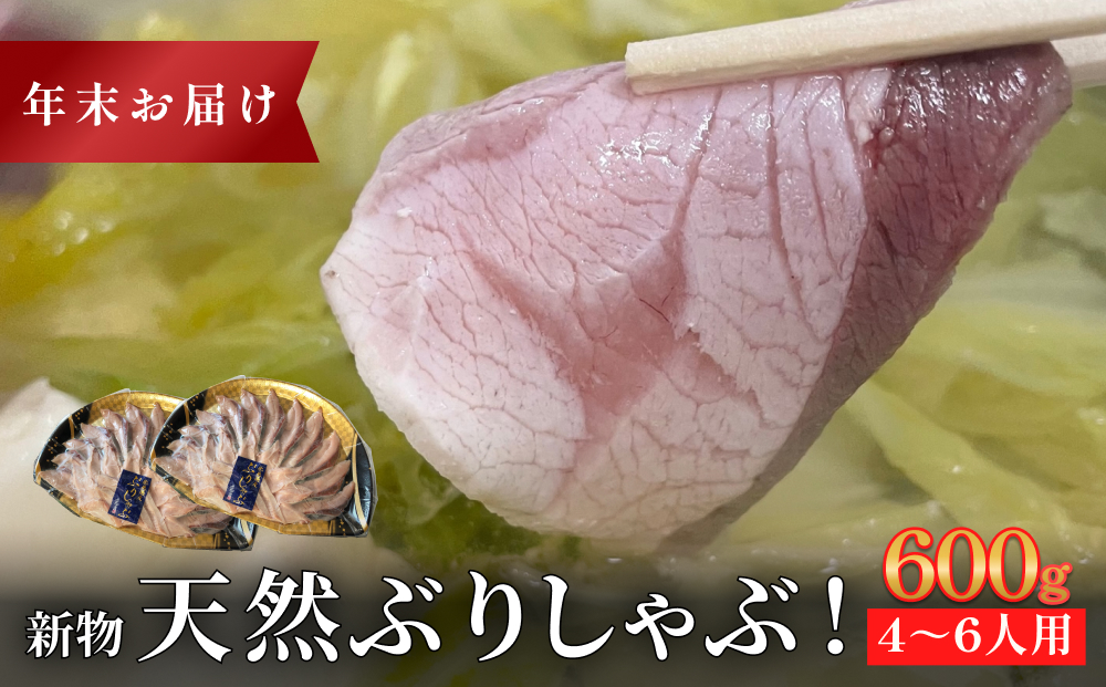 【年末お届け】【氷見鰤】新物天然ぶりしゃぶ！300ｇ×2パ