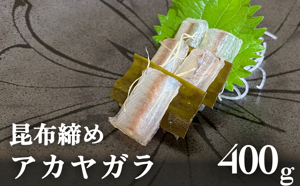 【期間限定】昆布締め アカヤガラ 400g　富山県 氷見市 昆