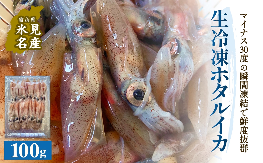 生冷凍ホタルイカ（凍眠） 100g 富山県 氷見市 ほたるいか