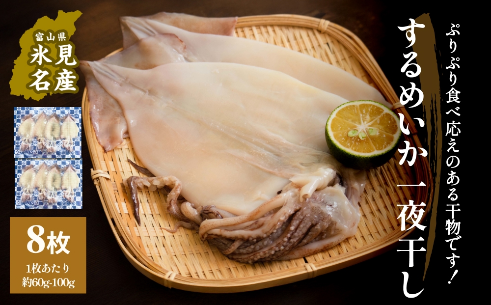 するめいか一夜干し 8枚 富山県 氷見市 イカ 干物