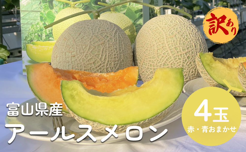 【訳あり】アールスメロン 4個セット（赤青おまかせ）  富
