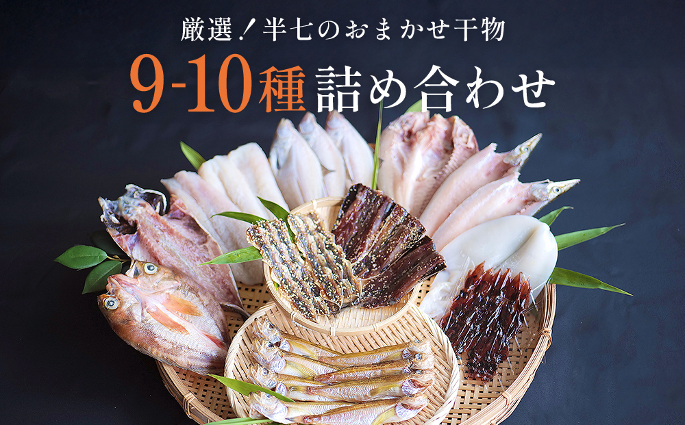 厳選！半七のおまかせ干物 詰め合わせセット（9-10種） 富