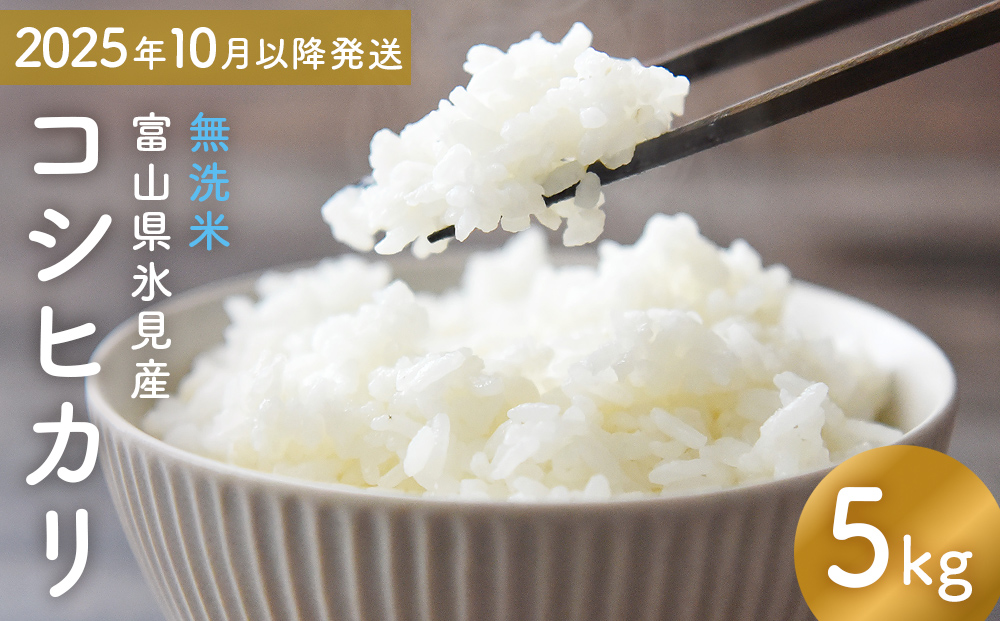 コシヒカリ 無洗米 5kg 富山県氷見産 ＜2025年10月以降発送＞