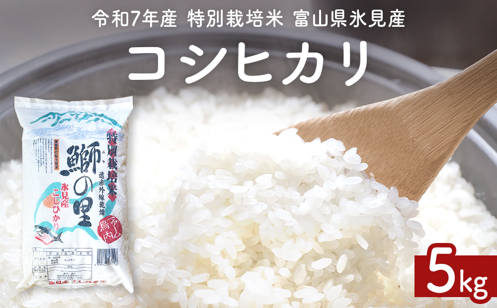 【先行受付】令和7年産 特別栽培米 富山県産コシヒカリ 5kg
