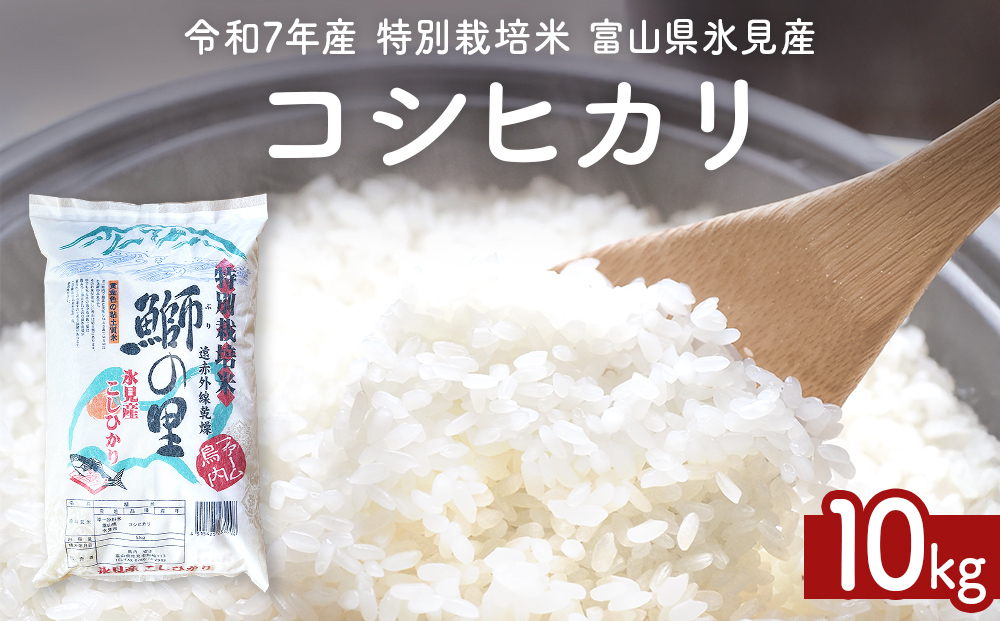 【先行受付】令和7年産 特別栽培米 富山県産コシヒカリ 10kg