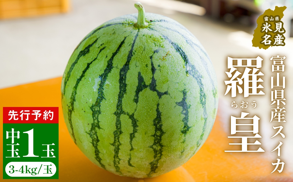 【先行予約】富山県産スイカ 羅皇 中玉 1玉 （3-4kg/玉） 【20
