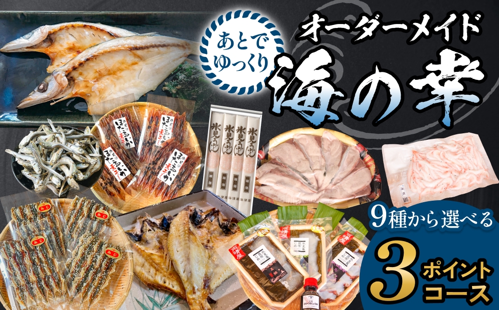 あとでゆっくりオーダーメイド海の幸【３ポイントコース