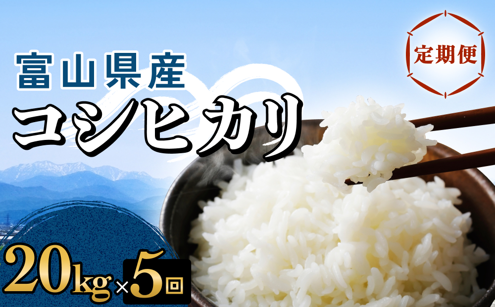 【5回定期便】富山県産 コシヒカリ 20kg 富山県 氷見市 米 コ
