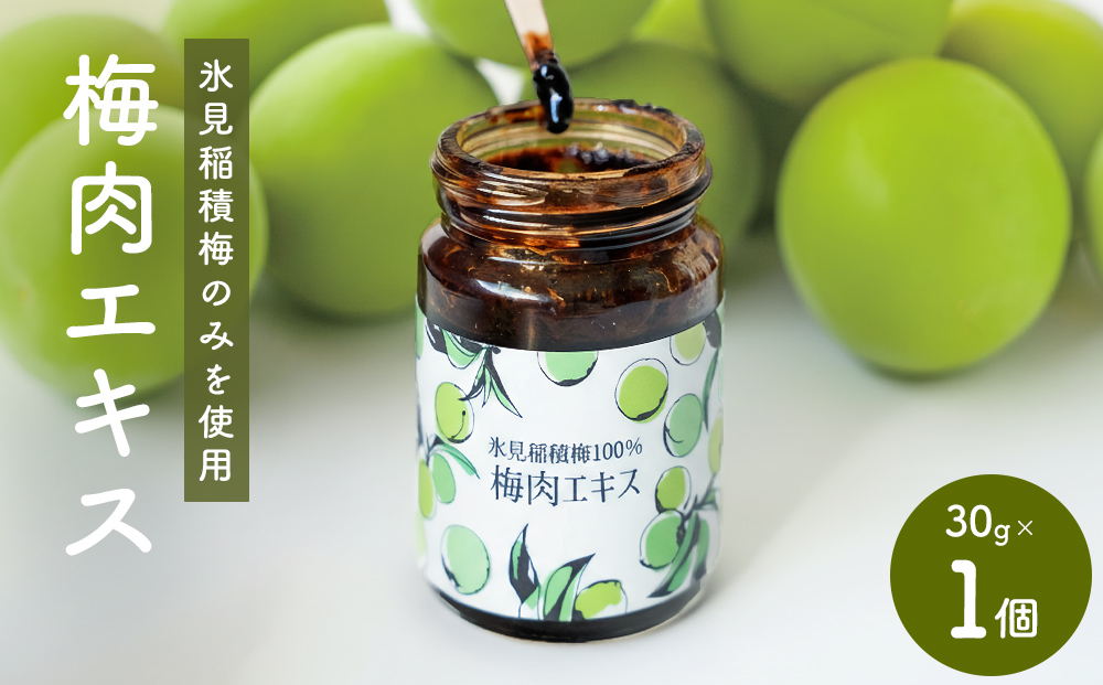 梅肉エキス 氷見稲積梅100% 1個 富山県 氷見市 国産 うめ 青