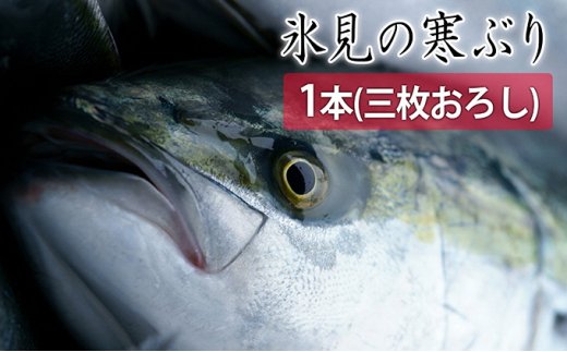 【先行予約】【期間限定】氷見の寒ぶり一本（三枚おろし