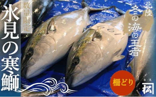 【先行予約】天然寒鰤 『ひみ寒ぶり』一本丸ごと便（柵ど