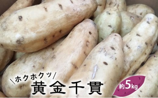 富山県産 さつまいも（ホクホクッ！黄金千貫）約5kg
