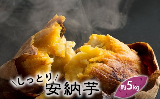 富山県産 さつまいも（しっとり！安納芋）約5kg