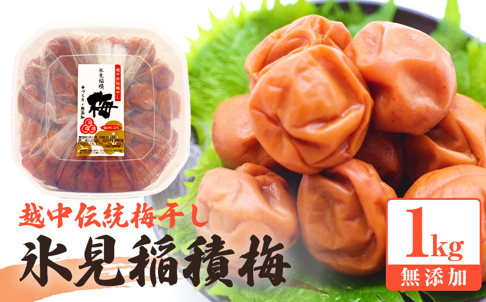 越中伝統梅干し 氷見稲積梅 1kg （塩分約12%）