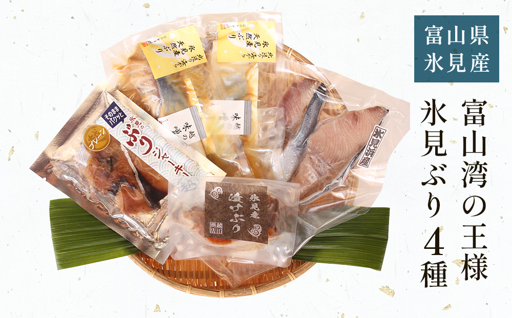 氷見堀与 富山湾の王様　氷見ぶり４種 富山県 氷見市 ブリ
