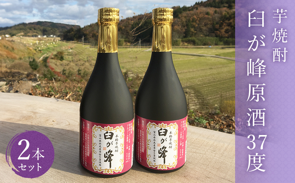 芋焼酎 臼が峰原酒(37度)2本セット | 焼酎 芋焼酎 さつまいも 黄金千貫 原酒 お酒 お取り寄せ 本格焼酎 いも焼酎 家飲み 富山 氷見