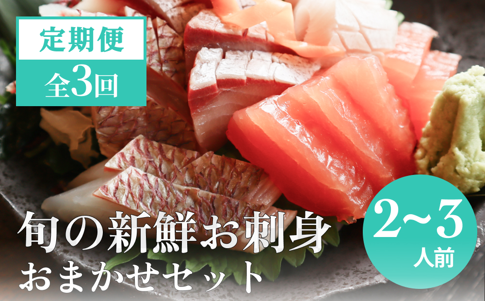 【３回 定期便】 氷見漁港朝どれ！旬の新鮮鮮魚おまかせセ