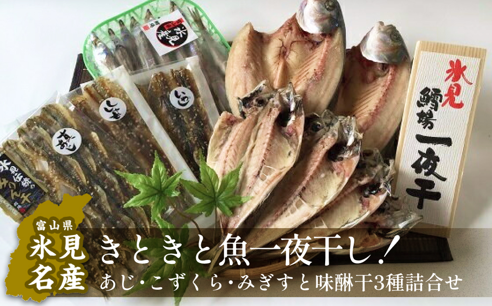 氷見産きときと魚一夜干し!あじ・こずくら・みぎすと味醂干3種詰合せ [アジ・イワシ・魚貝類・干物・ししゃも・シシャモ]