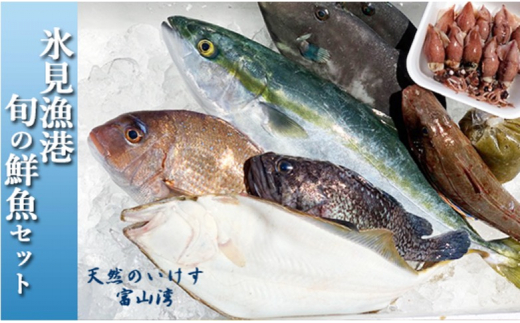 天然のいけす 富山湾 氷見漁港 旬の鮮魚セット※配送地域