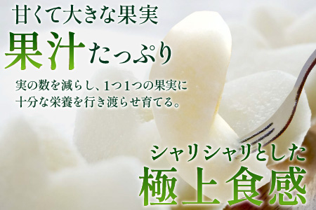 【先行予約】梨（幸水）※2025年8月下旬以降順次発送予定