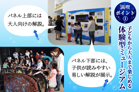 ほたるいかミュージアム入館券4枚 ホタルイカの神秘の光を体験！
