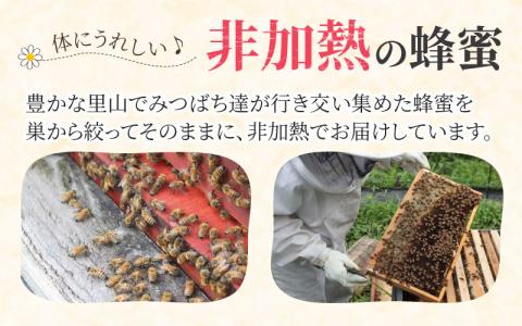 生はちみつ　180g×2本 【ビン】滑川の里山で採れた非加熱の蜂蜜（百花蜜）