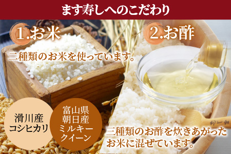 【定期便３回（隔月）】ご家庭用に！　簡易包装 ます寿し【本州のみ発送】　　※発送前に在宅確認の電話連絡をいたします！