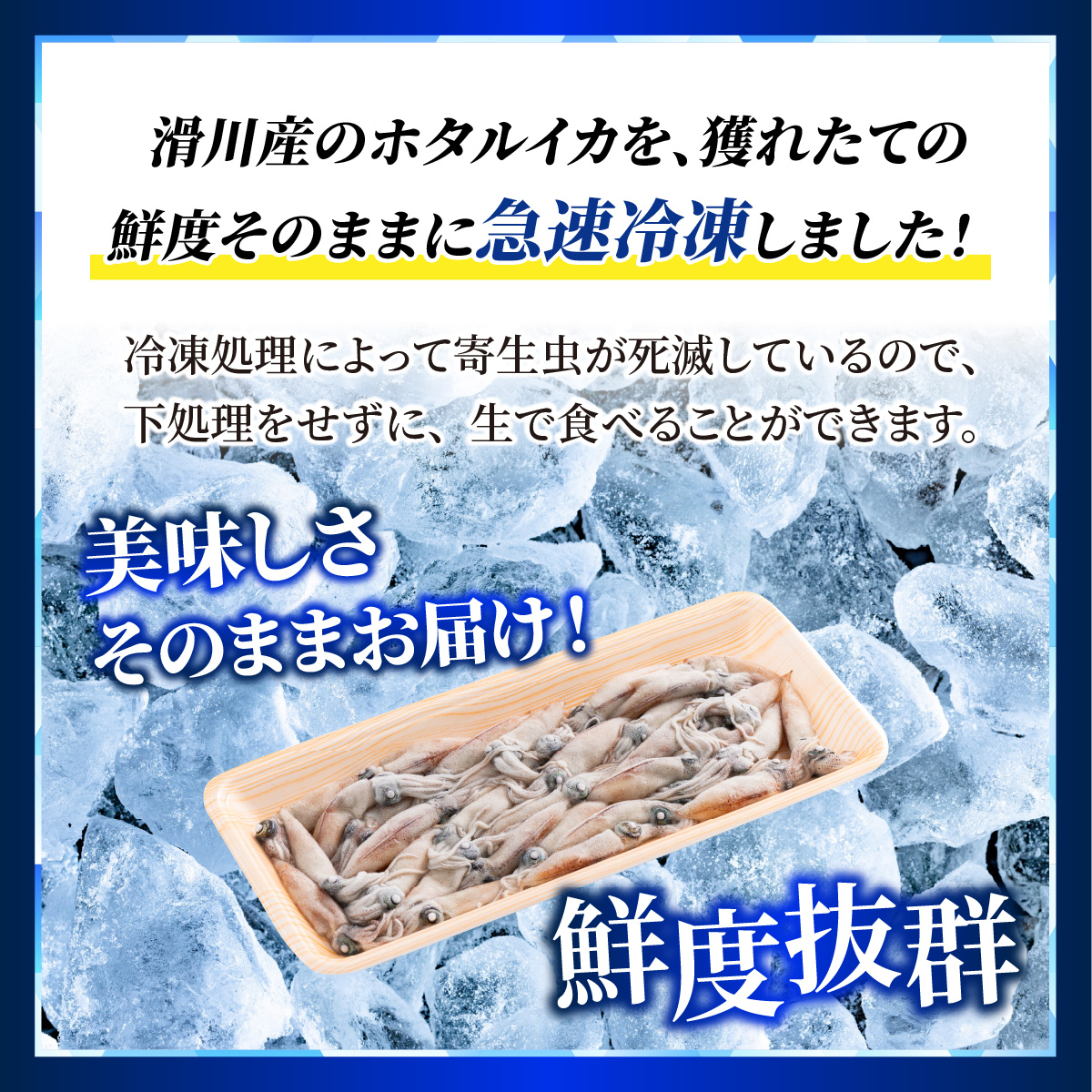 生ホタルイカ急速冷凍とオリジナル万能酢味噌付き【カネツル砂子商店】 [A-002012] 3パック 計750g + オリジナル酢味噌