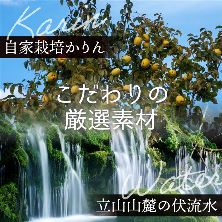 手造りかりん酒 720ｍｌ×2本 [A-006003]