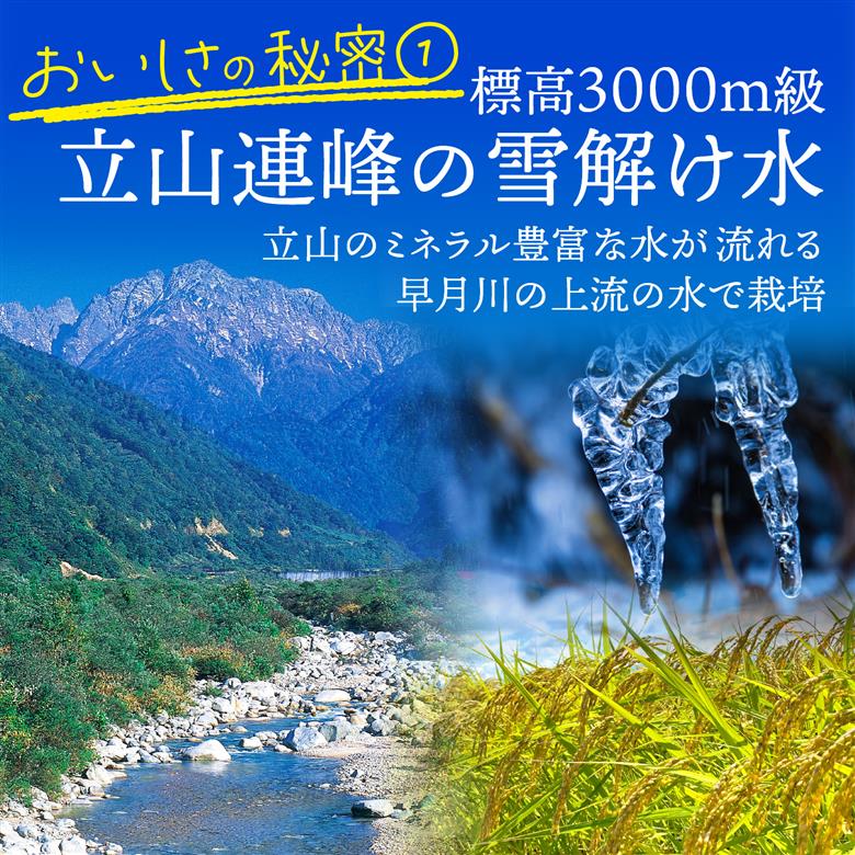 【先行予約】新米 富山湾一望米　コシヒカリ 精米 【容量5kg】【2025年10月より順次発送】