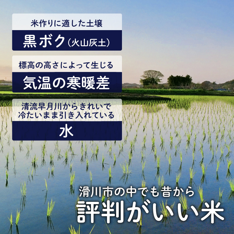 【先行予約】【新米】滑川産コシヒカリ（精米20kg）25年10月以降順次配送予定