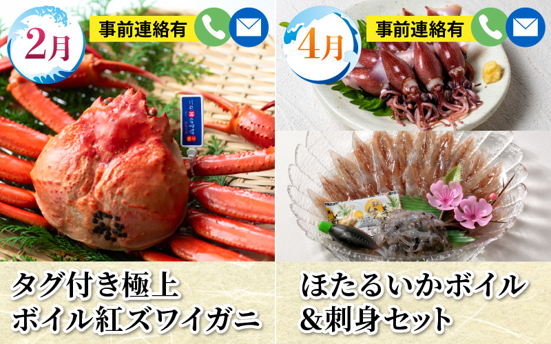 【数量限定】富山湾の恵がつまった カネツル旬の定期便（ホタルイカ、紅ズワイガニ、えび、ぶり、国産うなぎ） カネツル砂子商店