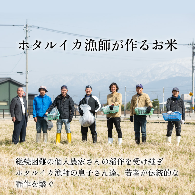 【訳あり】ほたるいか米（玄米20kg）×12回 計240kg【12ヶ月定期便】【訳あり 米 コシヒカリ こしひかり ほたるいか ホタルイカ お米 ブランド米 富山 滑川】[O-021002]
