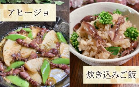 ほたるいか　ボイル＆刺身皿盛りファミリーセット※着日指定は備考欄へ　※26年3月中旬以降～ 順次発送中【(有)カネツル砂子商店】