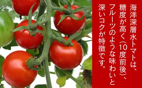 【期間限定】海洋深層水トマト【先行予約】/ ミニトマト ミディトマト 海洋 深層水 ミネラル 1.5kg 2kg 甘い 大容量 たっぷり