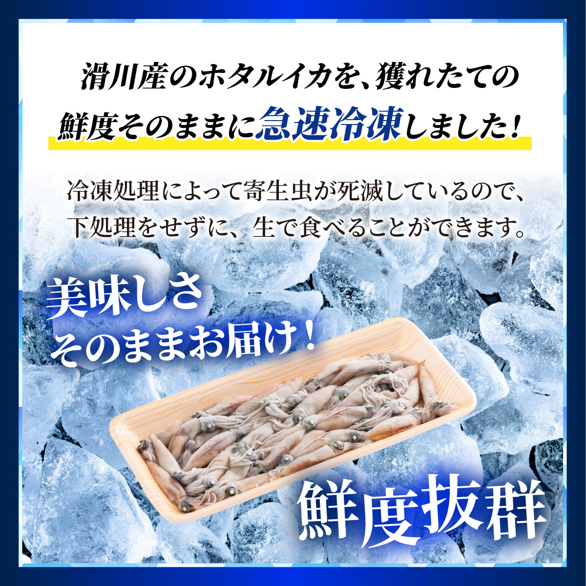 急速冷凍 生ホタルイカ【カネツル砂子商店】[A-002011]