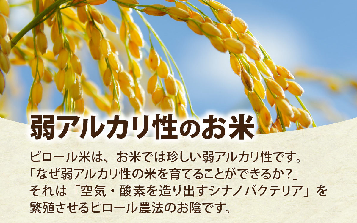 富山県滑川市産　弱アルカリ性米　「ピロール農法米　いのちの壱」玄米5kg【2025年10月中旬より順次発送】 / 産地直送 袋 ブランド米 お米 米 ご飯 ごはん 富山 滑川市 アグリめぐみ 頒布会 農家直送 おこめ