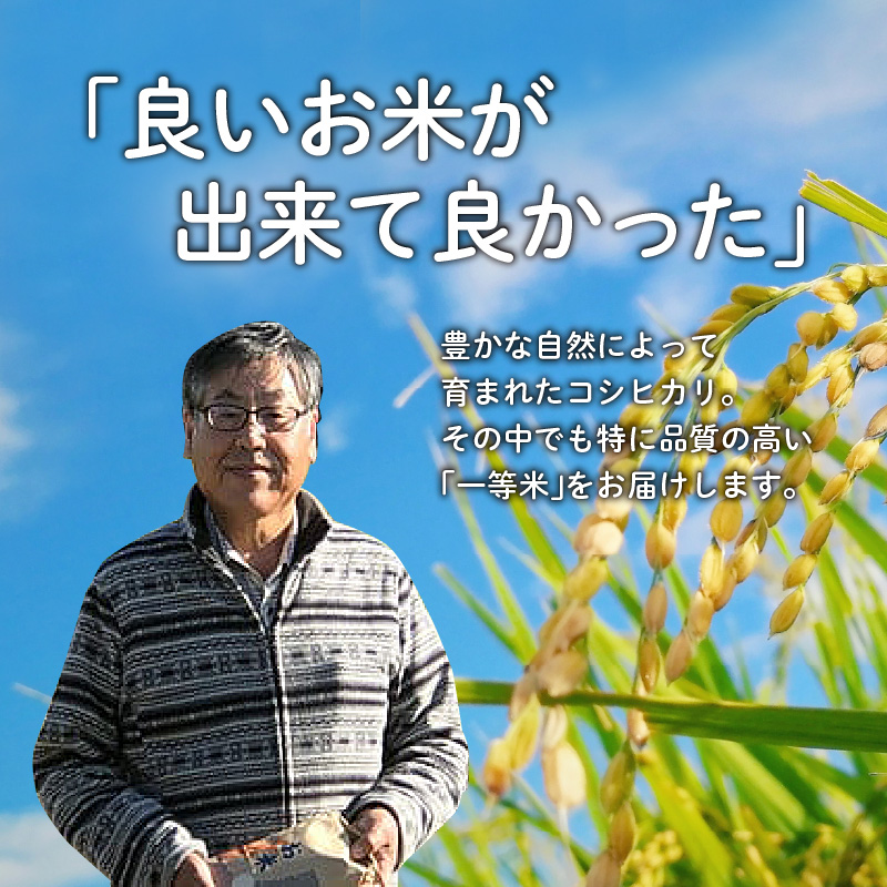 【先行予約】【新米】滑川産コシヒカリ（精米10kg）25年10月以降順次配送予定