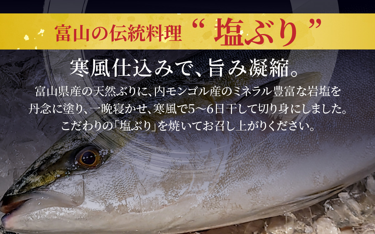 【定期便】6ヶ月連続お届け 訳あり 塩ぶり 10パックセット / 鰤 お歳暮 冬ギフト 年末 年始 切り身 天然ブリ 雑煮 おせち 下味冷凍 長期保存 おかず お弁当 1人暮らし 岩塩 塩焼き ギフト お祝い 出世魚 滑川市 富山県 とと屋 定期便 6か月 60g × 10パック 600g × 6回 3600g 3.6kg