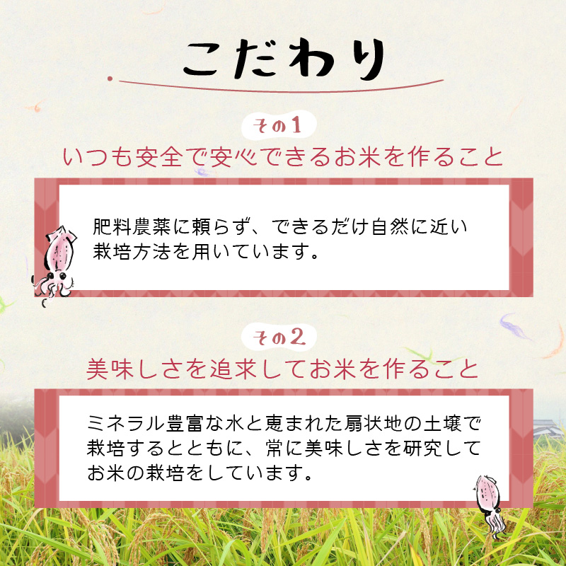【訳あり】ほたるいか米（精米20kg）×12回 計240kg【12ヶ月定期便】【訳あり 米 コシヒカリ こしひかり ほたるいか ホタルイカ お米 ブランド米 富山 滑川】[O-021004]